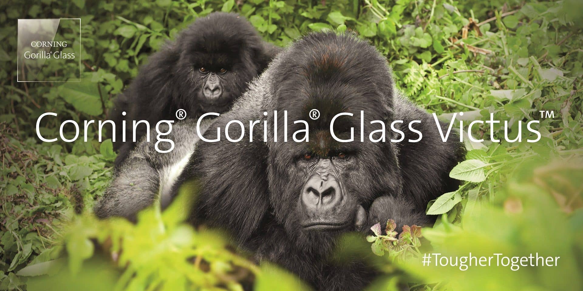 Le Gorilla Glass Victus a été annoncé en 2020