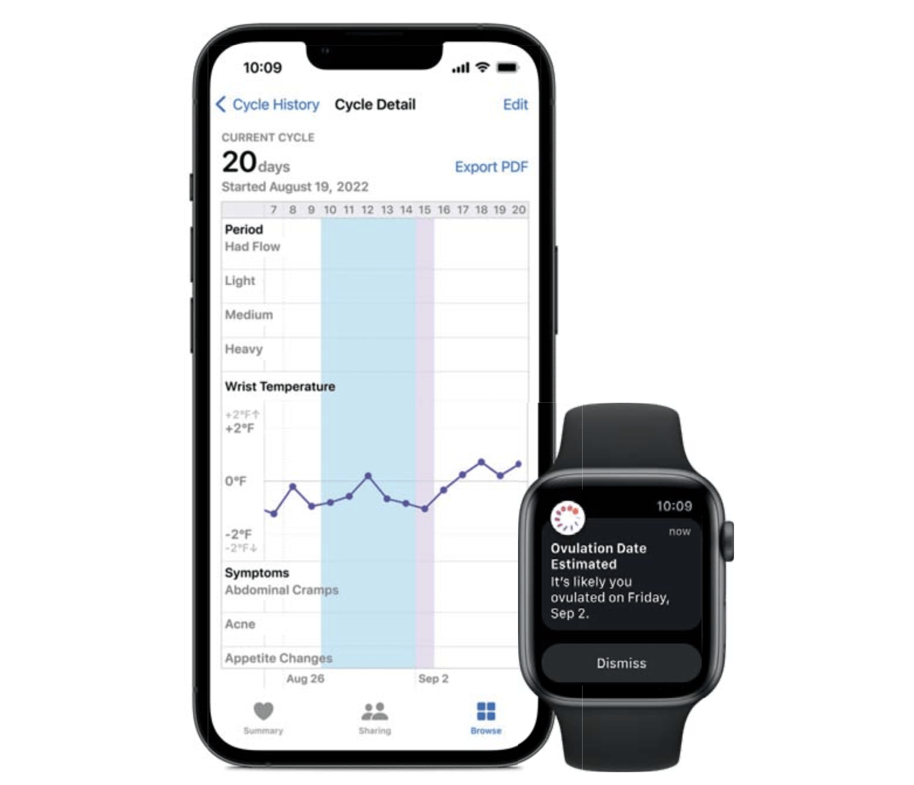 Temperaturanzeige Apple Watch 8