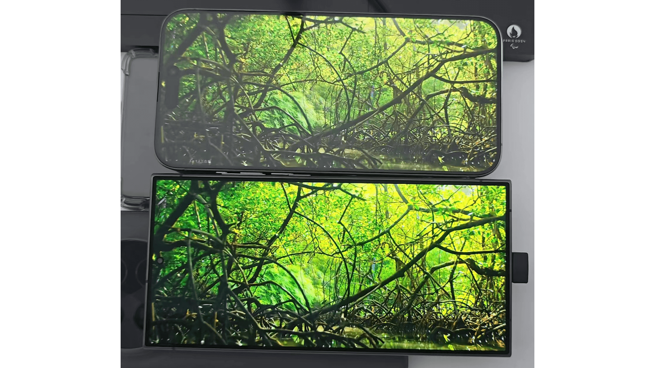 Samsung Galaxy S24 Ultra' Corning Glass Armor comparé à l'iPhone 15 Pro Max