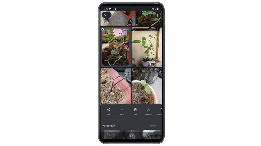 Un écran de téléphone affichant un album Google Photos avec plusieurs images de plantes en pot.
