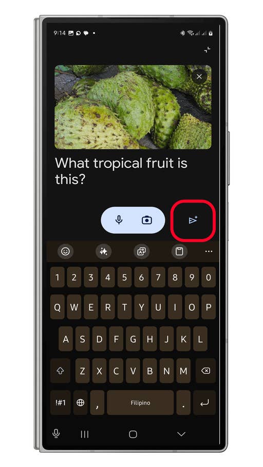comment-interroger-google-gemini-sur-une-image