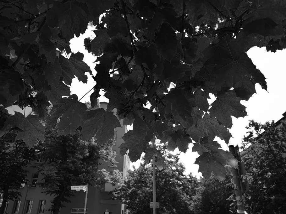 Huawei Mate Xs 2 Test photo 15