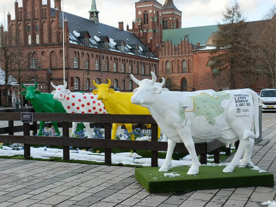 Oppo Find X5 Lite: Zoom x2