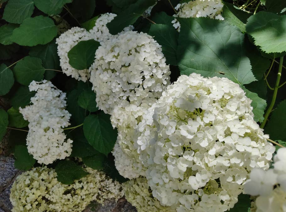 Photos de test prises avec le Xiaomi Pad 6