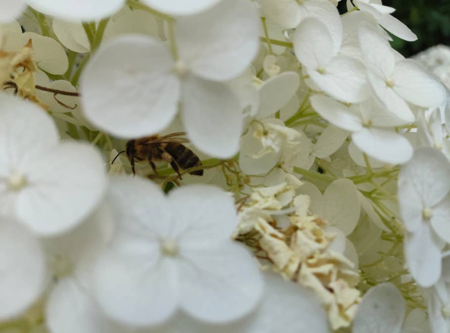 Photos de test prises avec le Xiaomi Pad 6