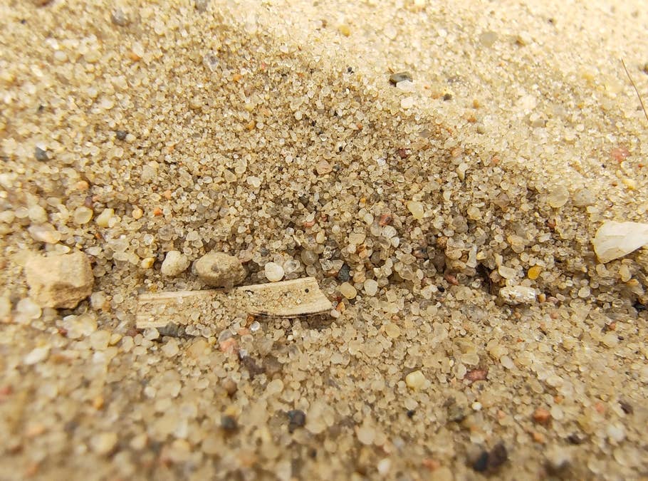 motorola-razr-40-test-photo