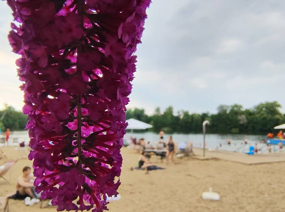 motorola-razr-40-test-photo