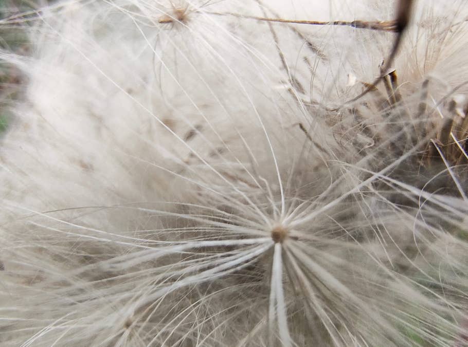 motorola-razr-40-test-photo