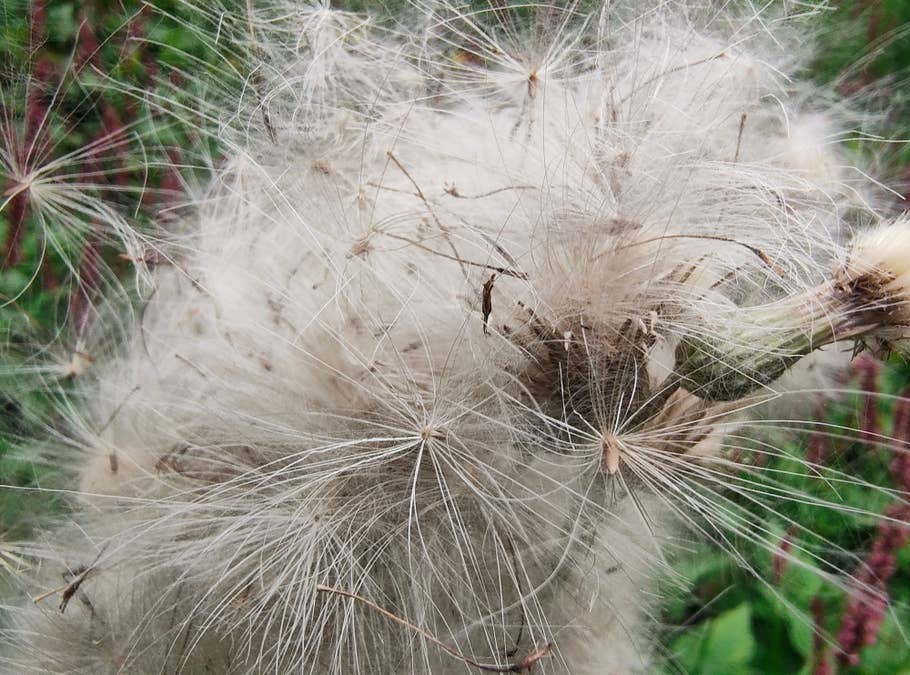 motorola-razr-40-test-photo