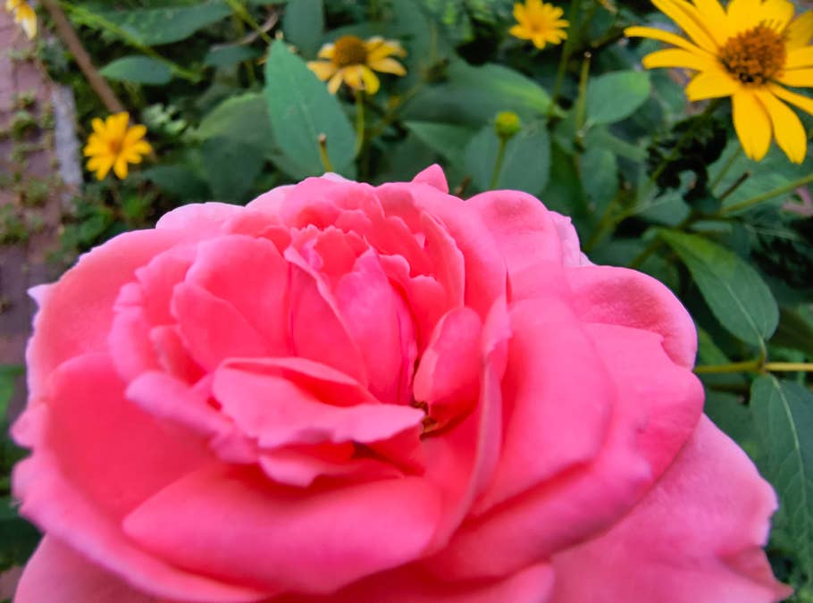 motorola-edge-40-neo-test-photo