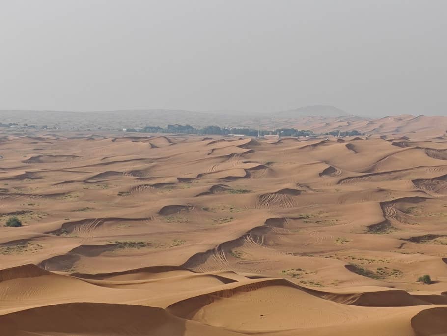 Poco F6 Pro: Objectif principal (zoom numérique 4x)