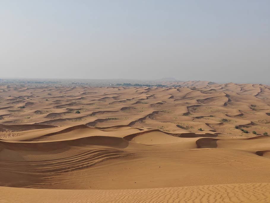 Poco F6 Pro: Objectif principal (zoom numérique 2x)