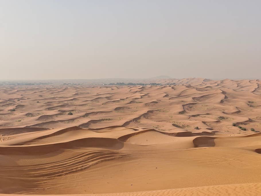 Poco F6:  Objectif principal (zoom numérique 2x)