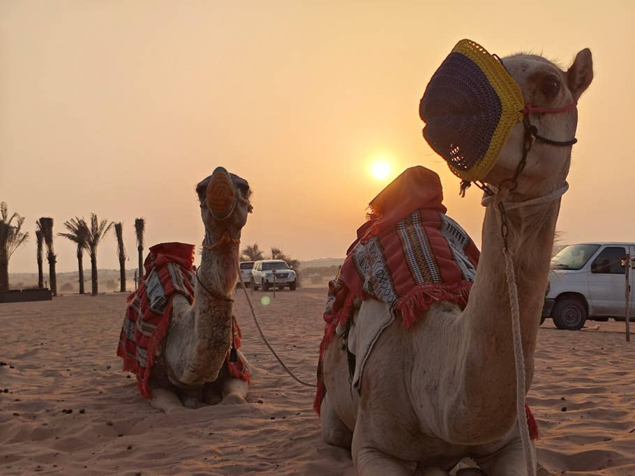 Poco F6:  Objectif principal (zoom numérique 2x)