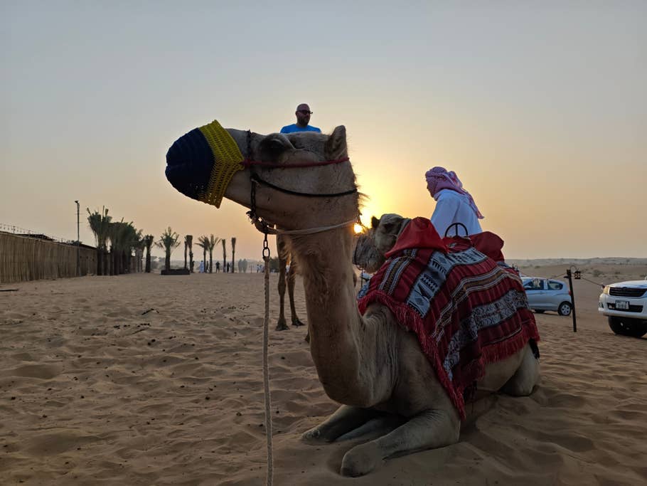 Poco F6 Pro: Objectif principal