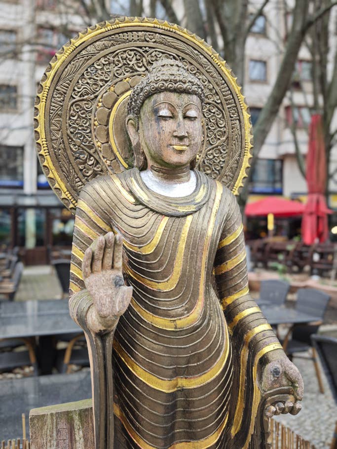 Xiaomi 15: Objectif principal - Mode Leica Portrait