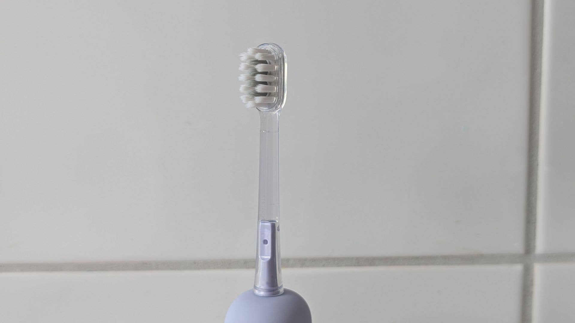 Gros plan de la tête de brosse de la brosse à dents Laifen Wave Special.