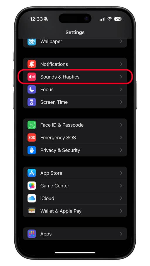Menu des paramètres sur un iPhone avec u0027Sons et vibrationsu0027 en surbrillance.