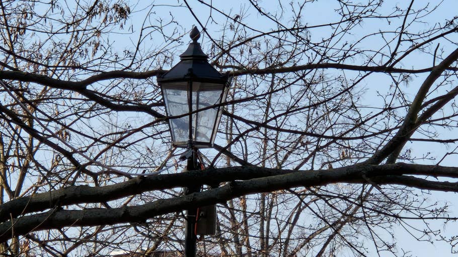 Test photo Samsung Galaxy S22