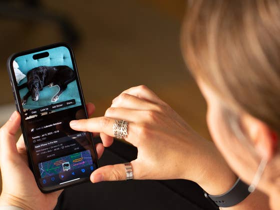 iOS 17: Comment utiliser la fonction Recherche visuelle sur votre iPhone?