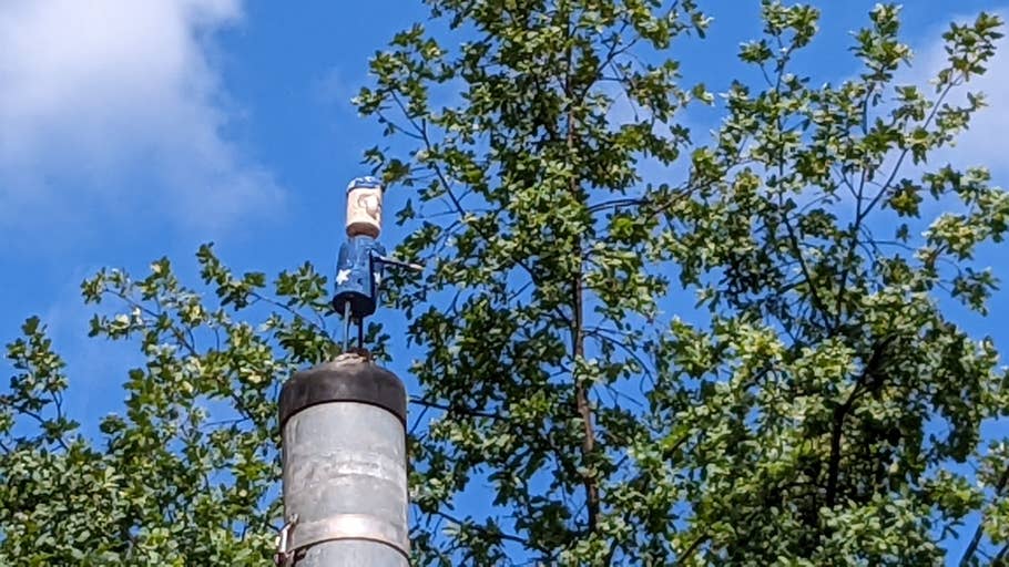 Google Pixel 6a Test photo