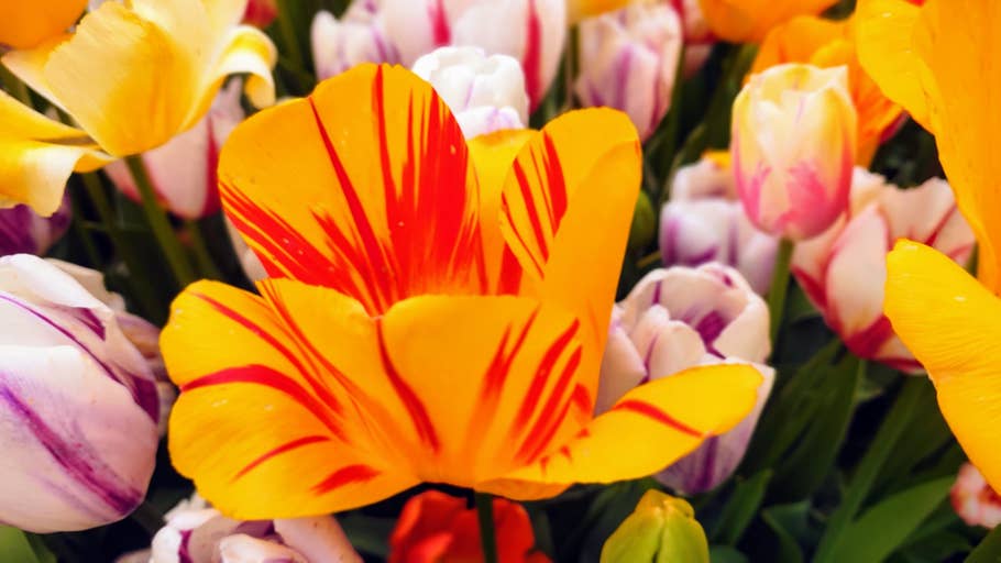 xiaomi-poco-f5-pro-test-photo