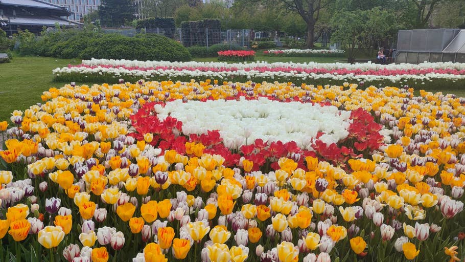 xiaomi-poco-f5-pro-test-photo