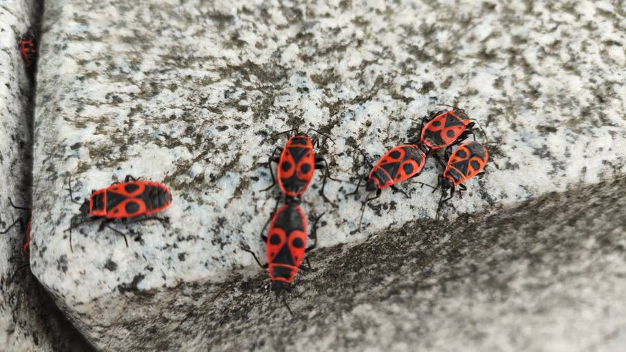 xiaomi-poco-f5-pro-test-photo