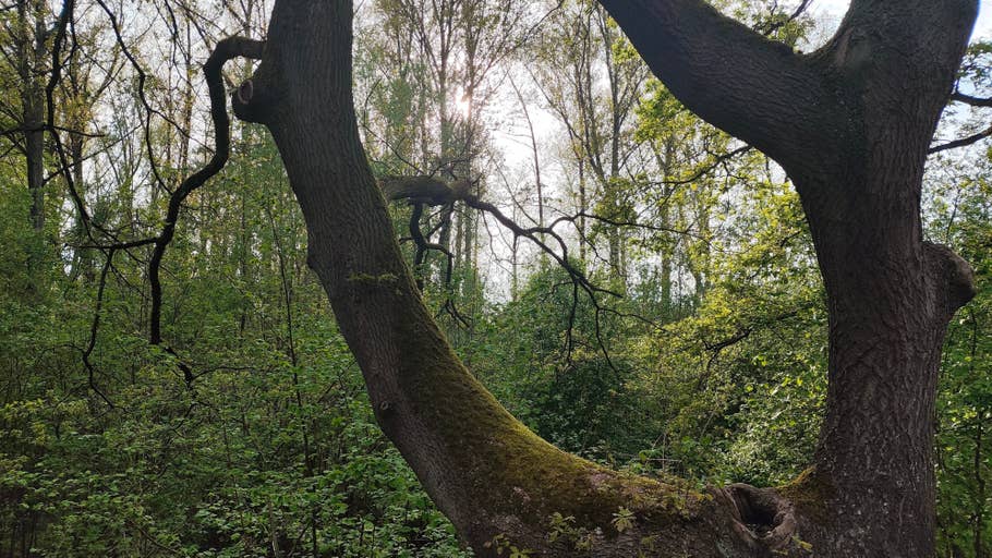 xiaomi-poco-f5-pro-test-photo