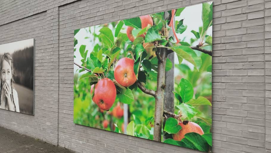 poco-x5-5g-test-photo