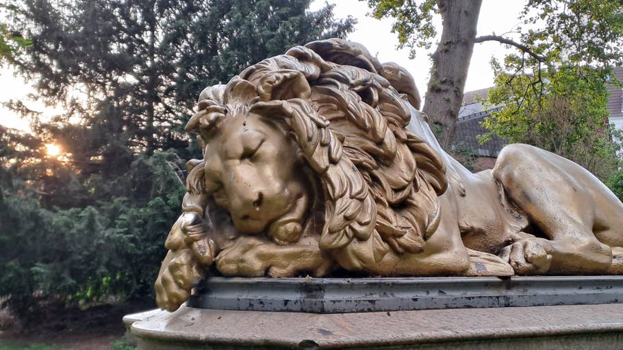 samsung galaxy a33 test photo