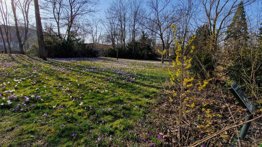 Test photo Samsung Galaxy S22