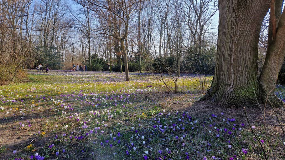 Test photo Samsung Galaxy S22