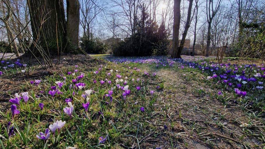 Test photo Samsung Galaxy S22