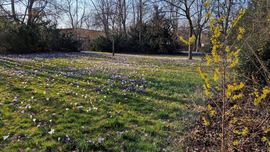 Test photo Samsung Galaxy S22