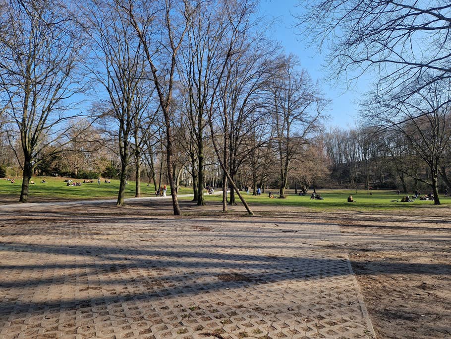 Test photo Samsung Galaxy S22