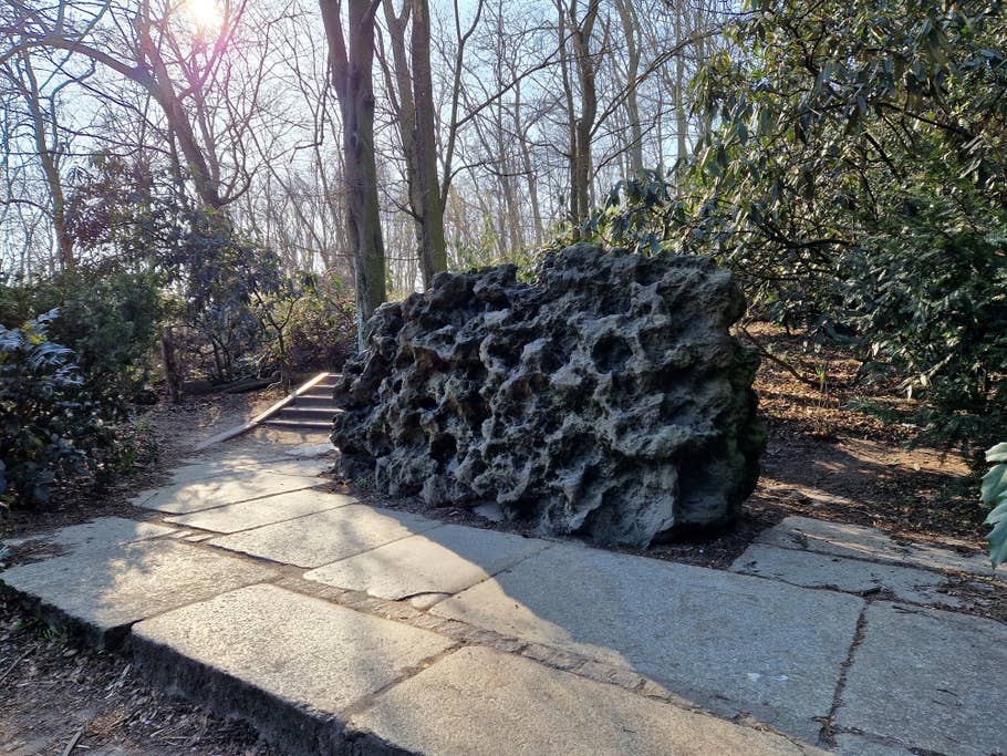 Test photo Samsung Galaxy S22