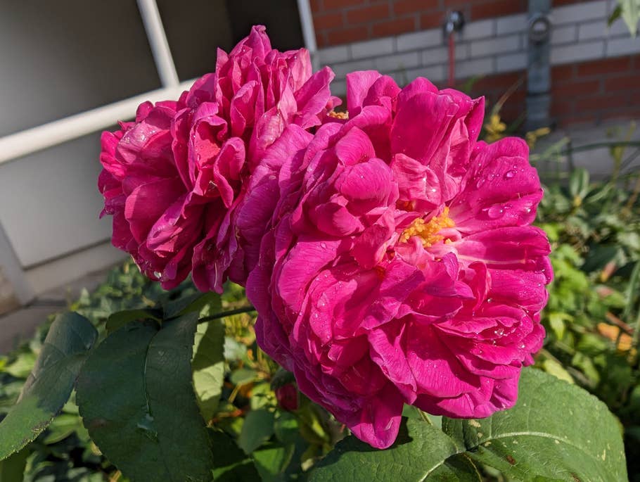 Google Pixel 8 Pro Test photo