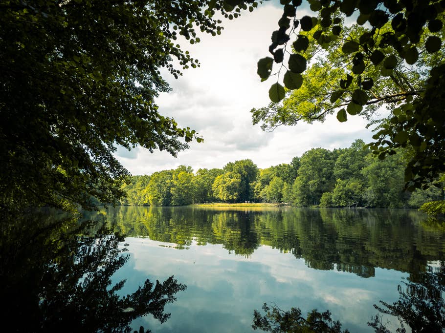 Xperia 1 Mark V Photos RAW