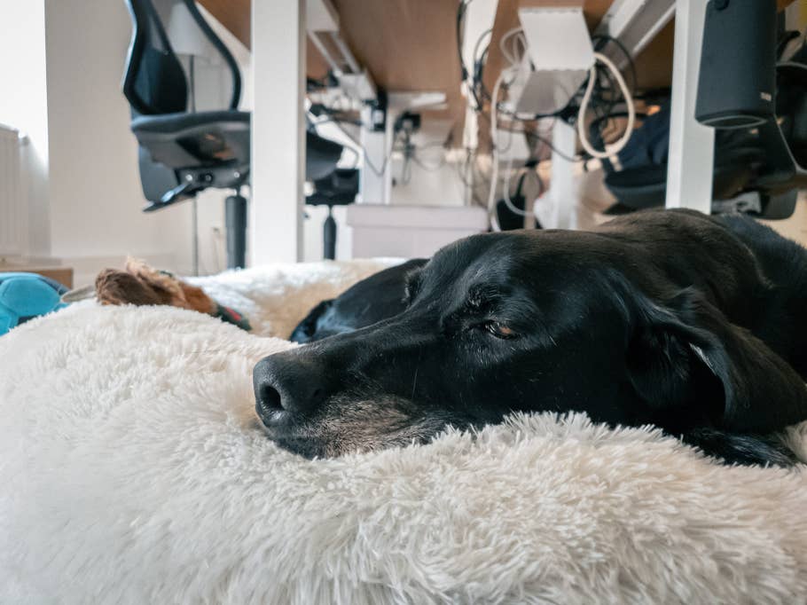 Xperia 1 Mark V Photos RAW