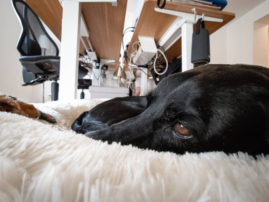 Xperia 1 Mark V Photos RAW