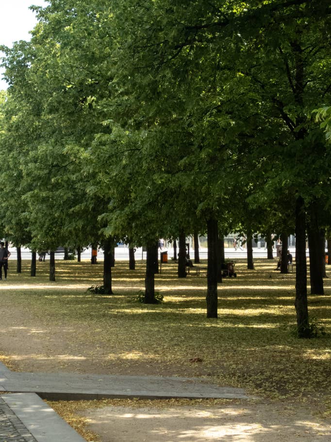 Xperia 1 Mark V Photos RAW