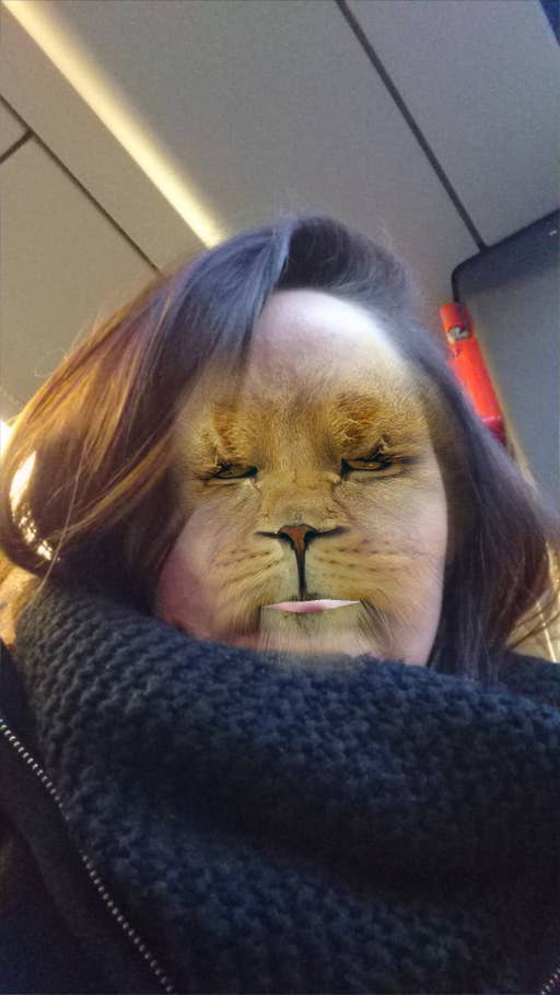 Test der Kamera des Sony Xperia Z5 Premium, Kamera Sony,