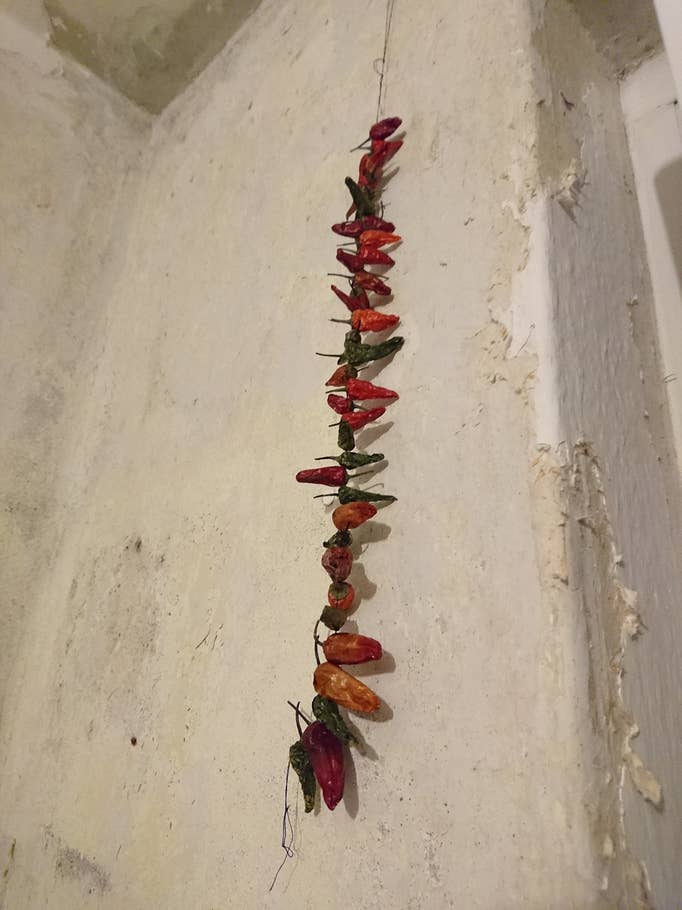 Test der Kamera des Sony Xperia Z5 Premium, Kamera Sony,