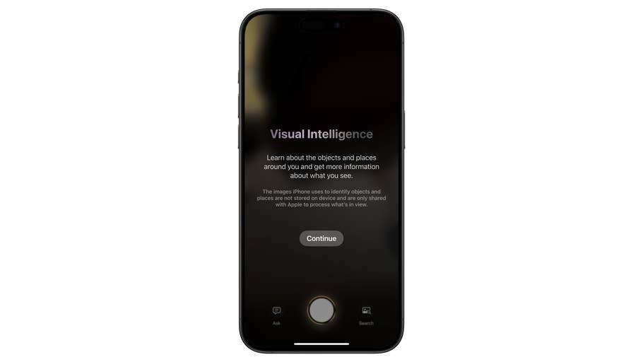 iPhone screen displaying 'Visual Intelligence' with text about identifying objects and places.