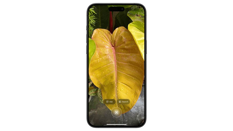 A close-up of a large yellow leaf with water droplets, displayed on a smartphone screen.