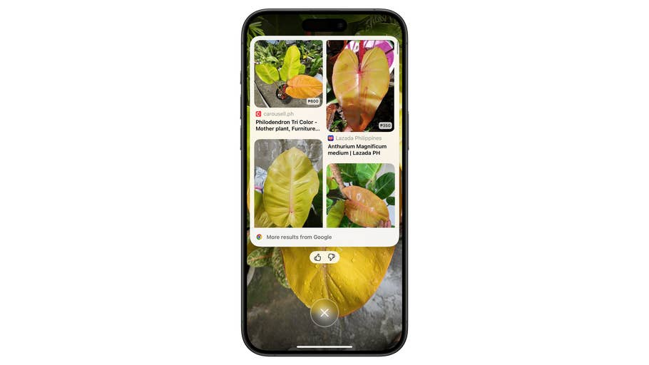 A smartphone displaying various plant images and information on a green background.