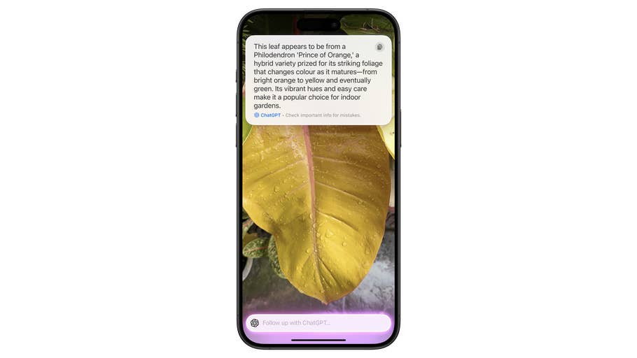 A smartphone displaying a close-up of a yellow leaf with text identifying it as a Philodendron 'Prince of Orange.'
