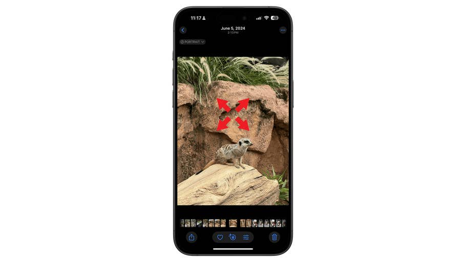 Un smartphone affichant une photo du0027un suricate sur une pierre, avec des flèches rouges pointant vers lui.