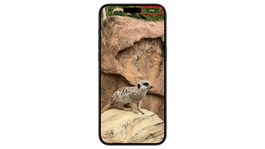 Un smartphone affichant un suricate sur une roche, avec une option de recadrage en haut.